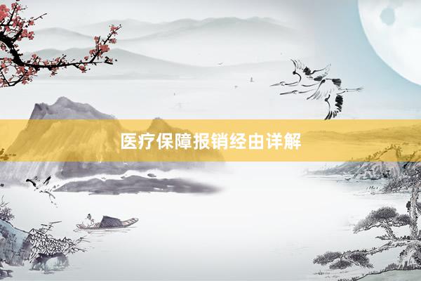 医疗保障报销经由详解