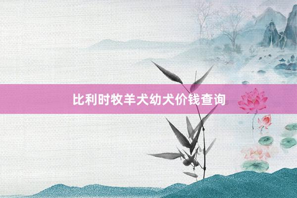 比利时牧羊犬幼犬价钱查询