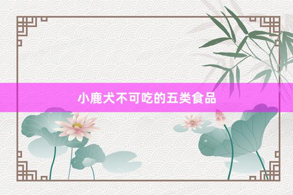 小鹿犬不可吃的五类食品