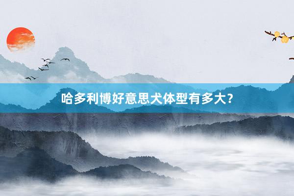 哈多利博好意思犬体型有多大？